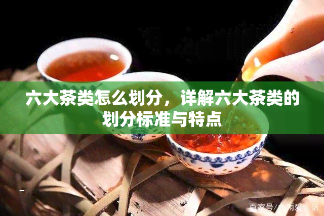 六大茶类怎么划分，详解六大茶类的划分标准与特点