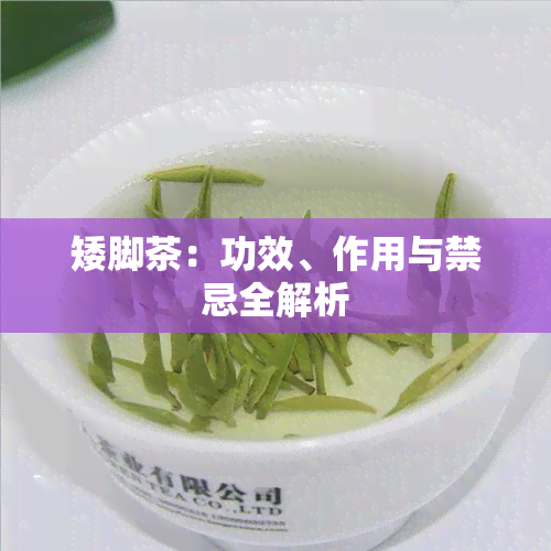 矮脚茶：功效、作用与禁忌全解析