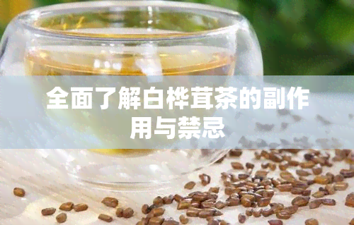 全面了解白桦茸茶的副作用与禁忌