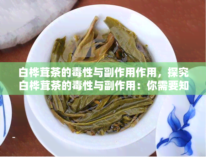 白桦茸茶的性与副作用作用，探究白桦茸茶的性与副作用：你需要知道的一切