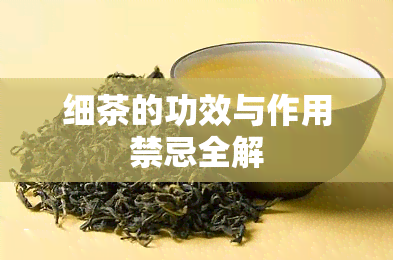 细茶的功效与作用禁忌全解