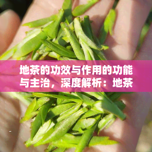 地茶的功效与作用的功能与主治，深度解析：地茶的功效、作用及功能主治