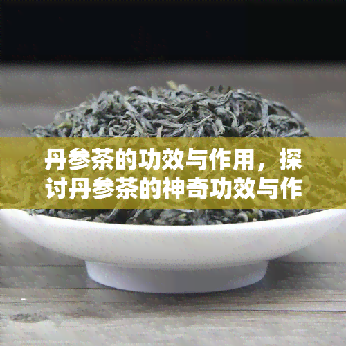 丹参茶的功效与作用，探讨丹参茶的神奇功效与作用，健生活必备饮品！