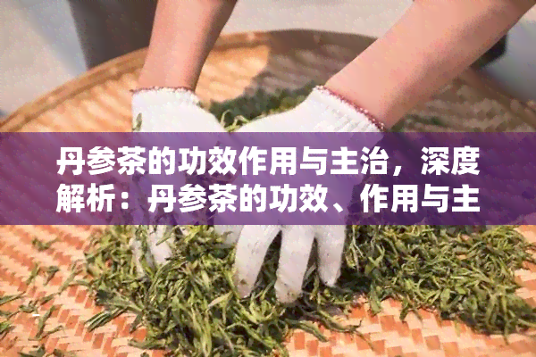 丹参茶的功效作用与主治，深度解析：丹参茶的功效、作用与主治全解