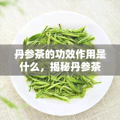 丹参茶的功效作用是什么，揭秘丹参茶的神奇功效与作用！