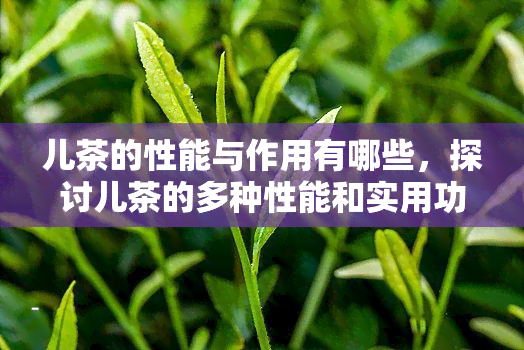 儿茶的性能与作用有哪些，探讨儿茶的多种性能和实用功效