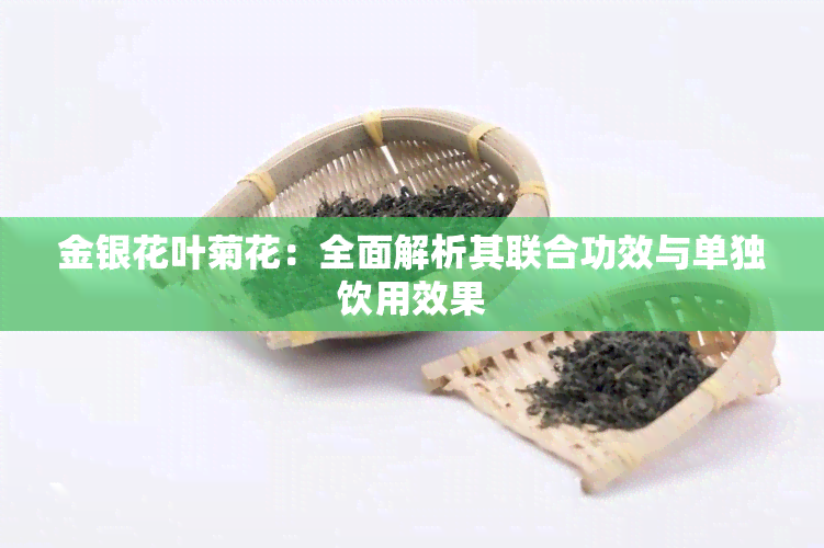 金银花叶菊花：全面解析其联合功效与单独饮用效果