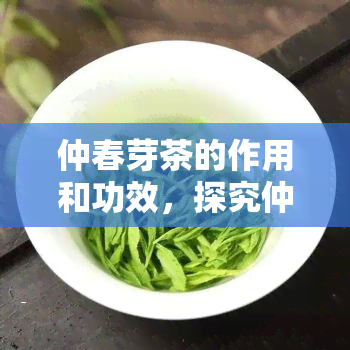 仲春芽茶的作用和功效，探究仲春芽茶的神奇作用与健功效