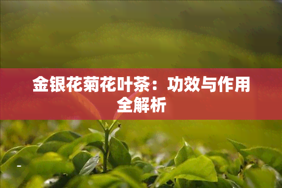 金银花菊花叶茶：功效与作用全解析