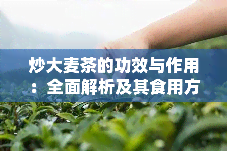 炒大麦茶的功效与作用：全面解析及其食用方法与禁忌