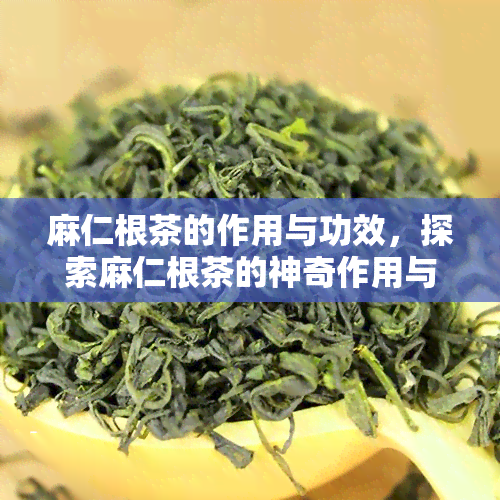 麻仁根茶的作用与功效，探索麻仁根茶的神奇作用与越功效！