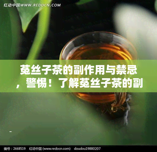 菟丝子茶的副作用与禁忌，警惕！了解菟丝子茶的副作用和饮用禁忌