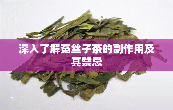 深入了解菟丝子茶的副作用及其禁忌