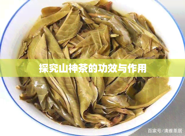 探究山神茶的功效与作用