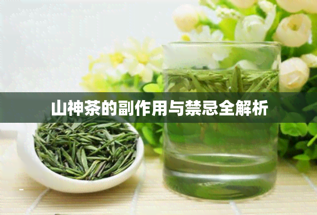 山神茶的副作用与禁忌全解析