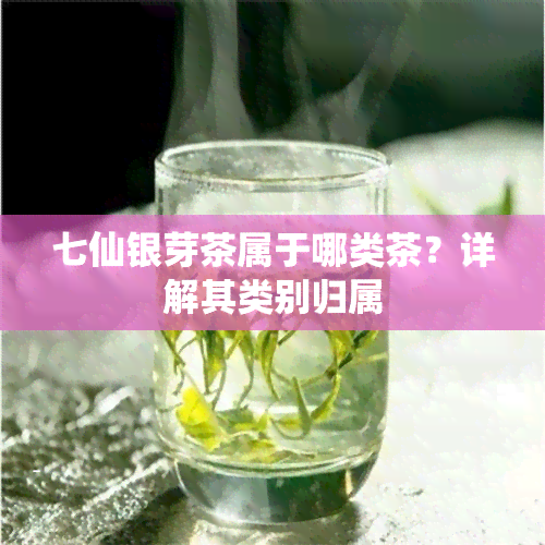 七仙银芽茶属于哪类茶？详解其类别归属