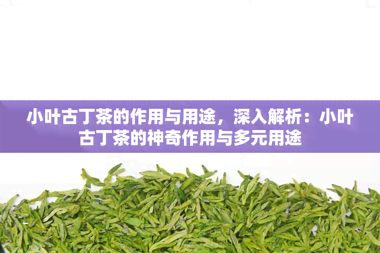 小叶古丁茶的作用与用途，深入解析：小叶古丁茶的神奇作用与多元用途