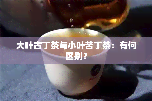 大叶古丁茶与小叶苦丁茶：有何区别？