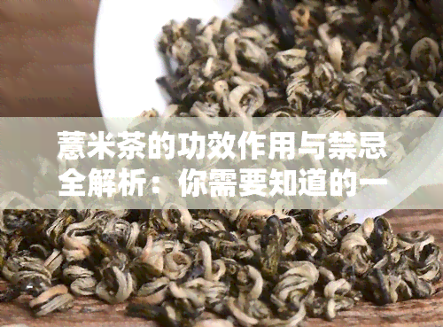 薏米茶的功效作用与禁忌全解析：你需要知道的一切