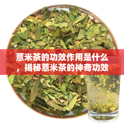 薏米茶的功效作用是什么，揭秘薏米茶的神奇功效与作用！