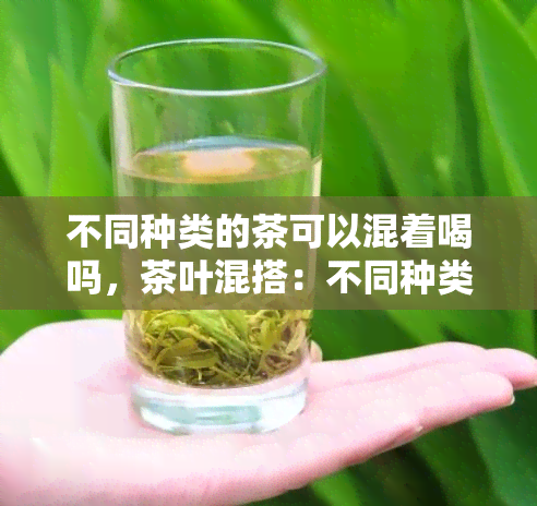 不同种类的茶可以混着喝吗，茶叶混搭：不同种类的茶可以一起喝吗？