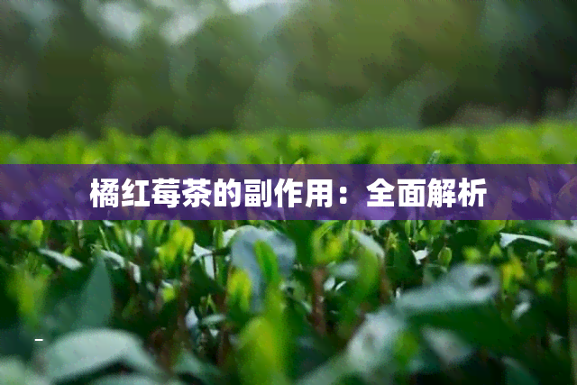 橘红莓茶的副作用：全面解析