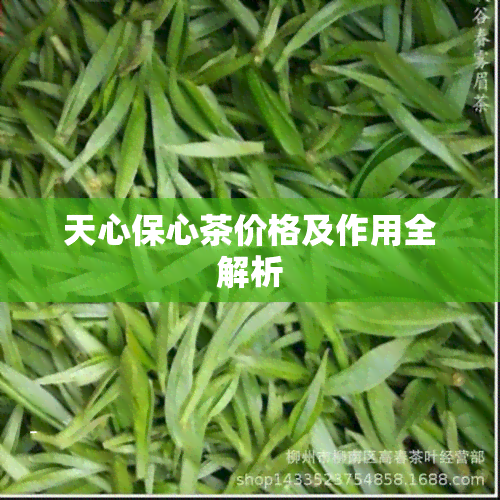 天心保心茶价格及作用全解析