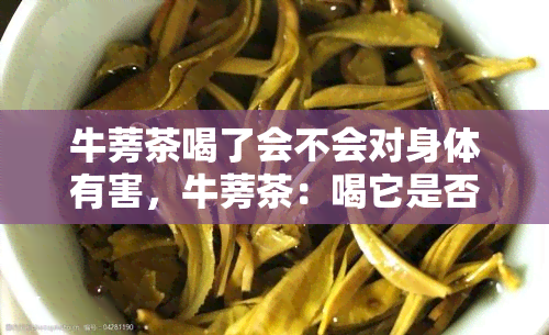 牛蒡茶喝了会不会对身体有害，牛蒡茶：喝它是否对身体有害？