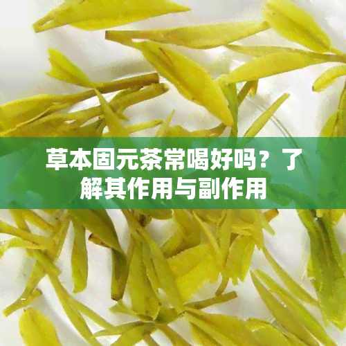 草本固元茶常喝好吗？了解其作用与副作用