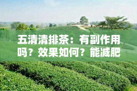 五清清排茶：有副作用吗？效果如何？能减肥吗？