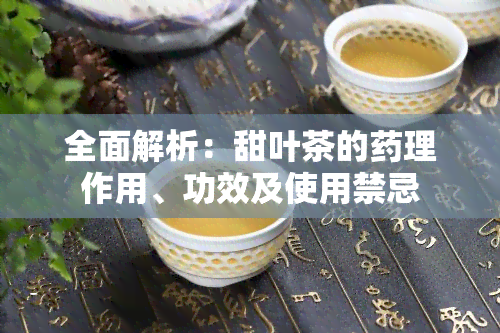 全面解析：甜叶茶的理作用、功效及使用禁忌