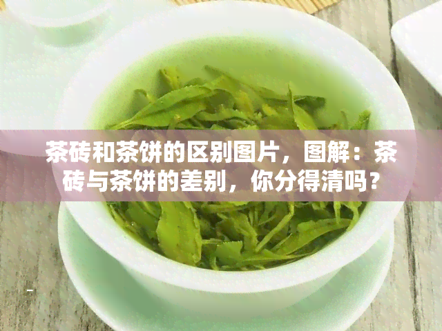 茶砖和茶饼的区别图片，图解：茶砖与茶饼的差别，你分得清吗？