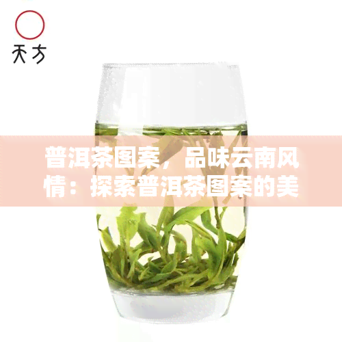 普洱茶图案，品味云南风情：探索普洱茶图案的美与韵味