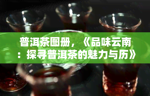 普洱茶图册，《品味云南：探寻普洱茶的魅力与历》