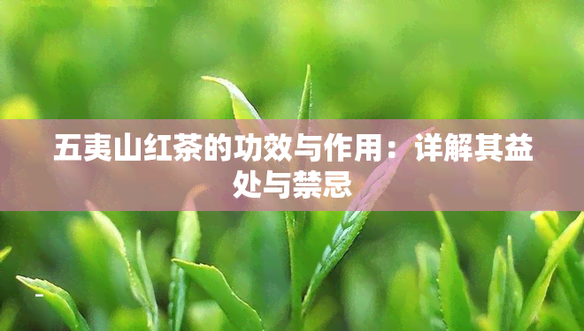 五夷山红茶的功效与作用：详解其益处与禁忌