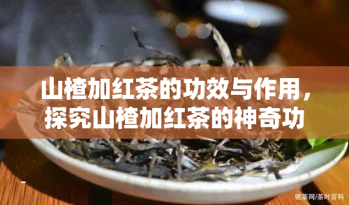 山楂加红茶的功效与作用，探究山楂加红茶的神奇功效与作用