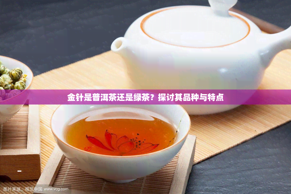 金针是普洱茶还是绿茶？探讨其品种与特点