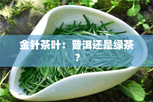 金针茶叶：普洱还是绿茶？