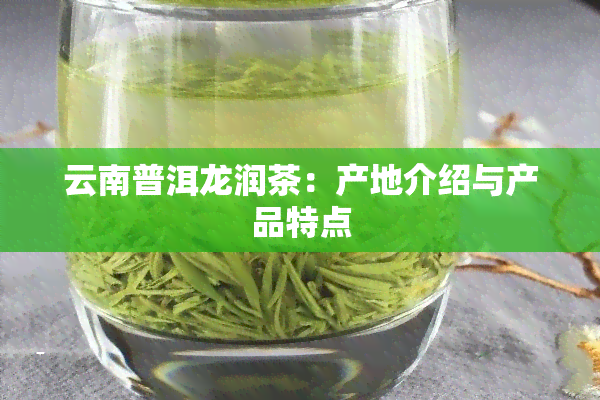 云南普洱龙润茶：产地介绍与产品特点