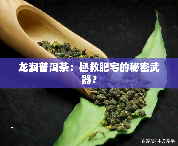 龙润普洱茶：拯救肥宅的秘密武器？