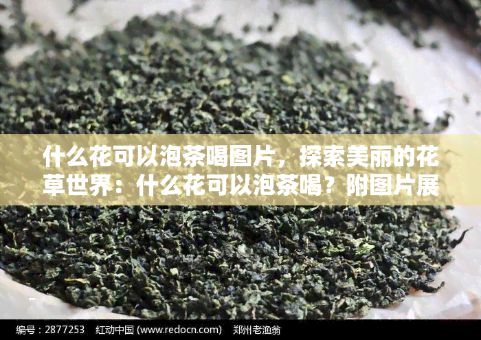 什么花可以泡茶喝图片，探索美丽的花草世界：什么花可以泡茶喝？附图片展示