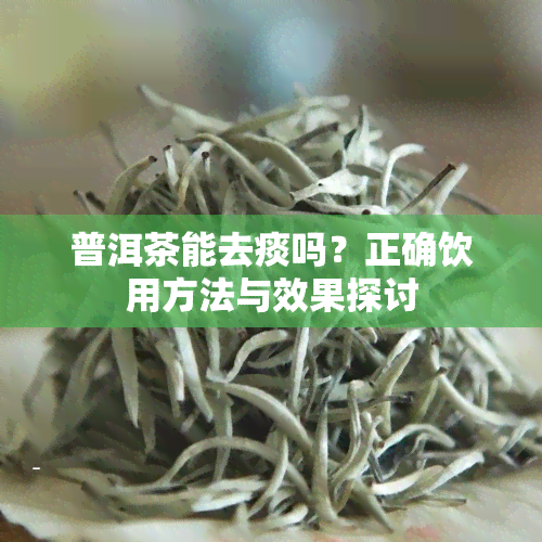 普洱茶能去痰吗？正确饮用方法与效果探讨