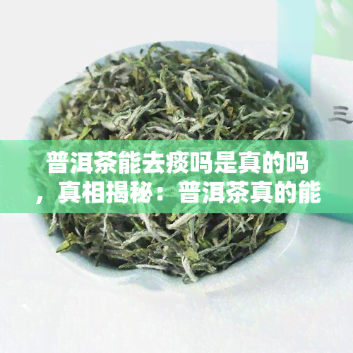 普洱茶能去痰吗是真的吗，真相揭秘：普洱茶真的能去痰吗？