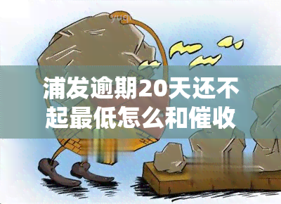 浦发逾期20天还不起更低怎么和的说好，浦发信用卡逾期20天，如何与有效沟通并提出更低还款计划？