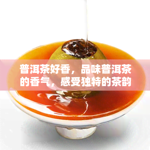 普洱茶好香，品味普洱茶的香气，感受独特的茶韵之美