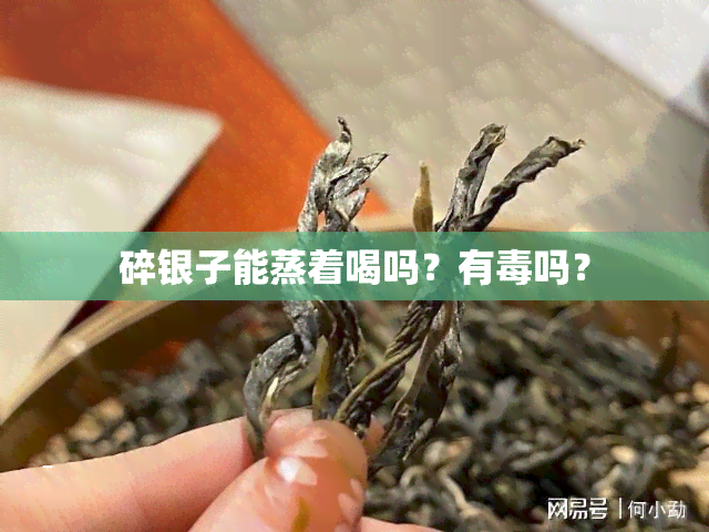 碎银子能蒸着喝吗？有吗？