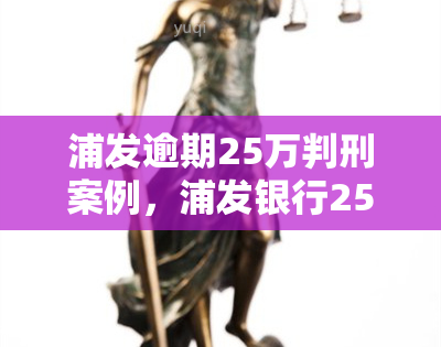 浦发逾期25万判刑案例，浦发银行25万逾期贷款被判刑，欠款人应引以为戒