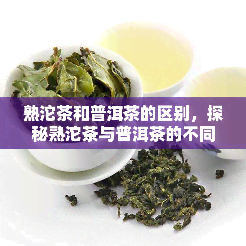 熟沱茶和普洱茶的区别，探秘熟沱茶与普洱茶的不同之处