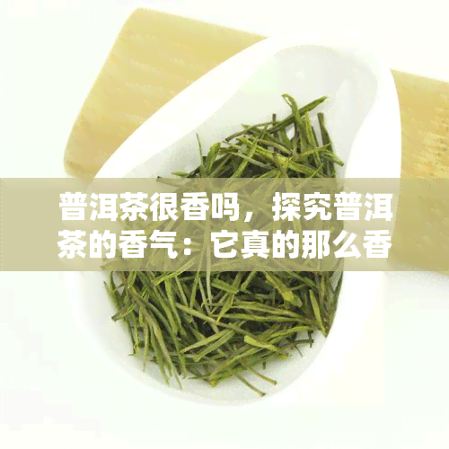 普洱茶很香吗，探究普洱茶的香气：它真的那么香吗？