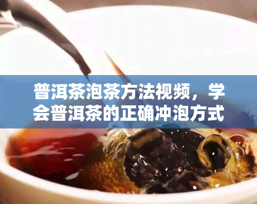 普洱茶泡茶方法视频，学会普洱茶的正确冲泡方式！看这个视频就知道了！